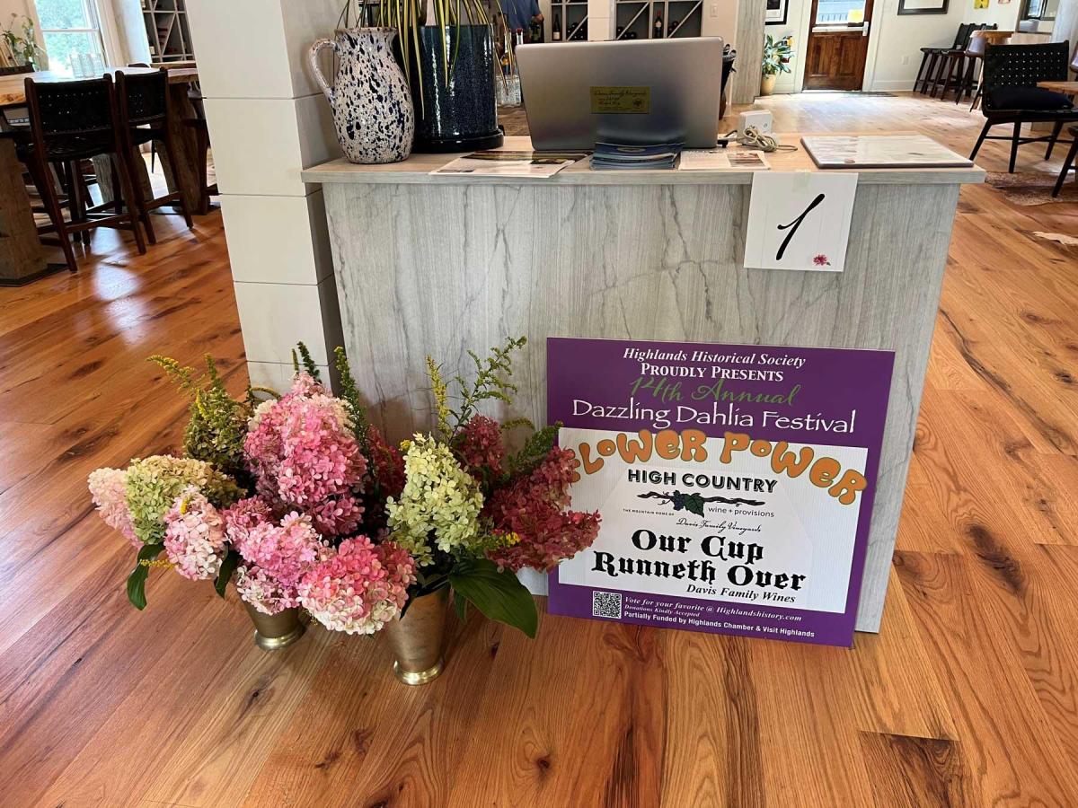 Dahlia Festival 2024