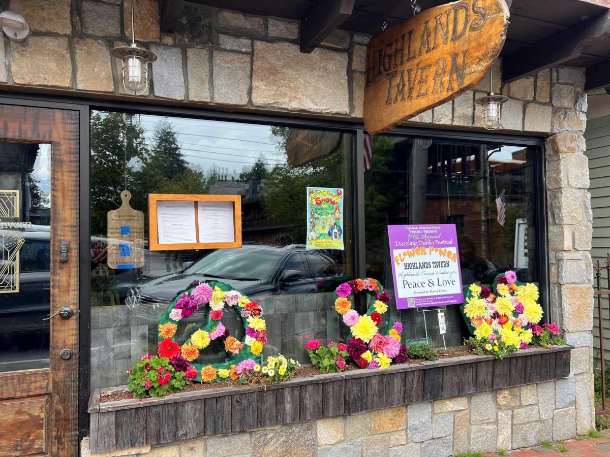 Dahlia Festival 2024