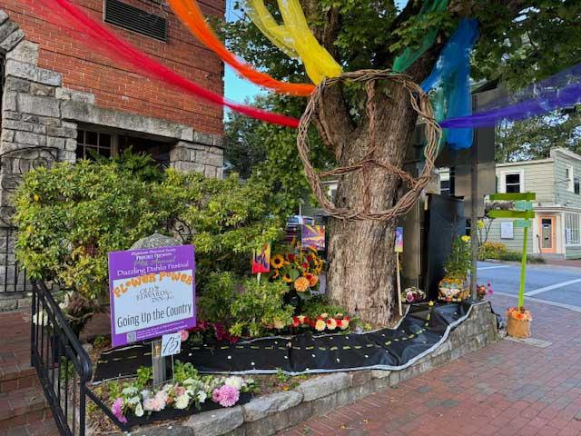 Dahlia Festival 2024