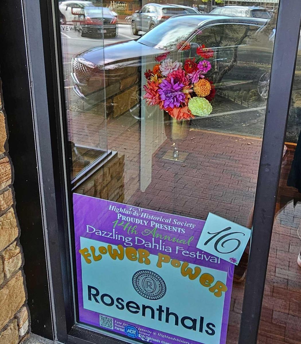 Dahlia Festival 2024