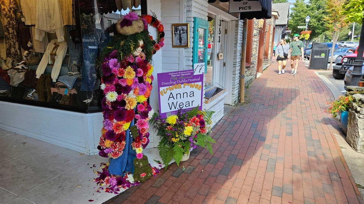 Dahlia Festival 2024