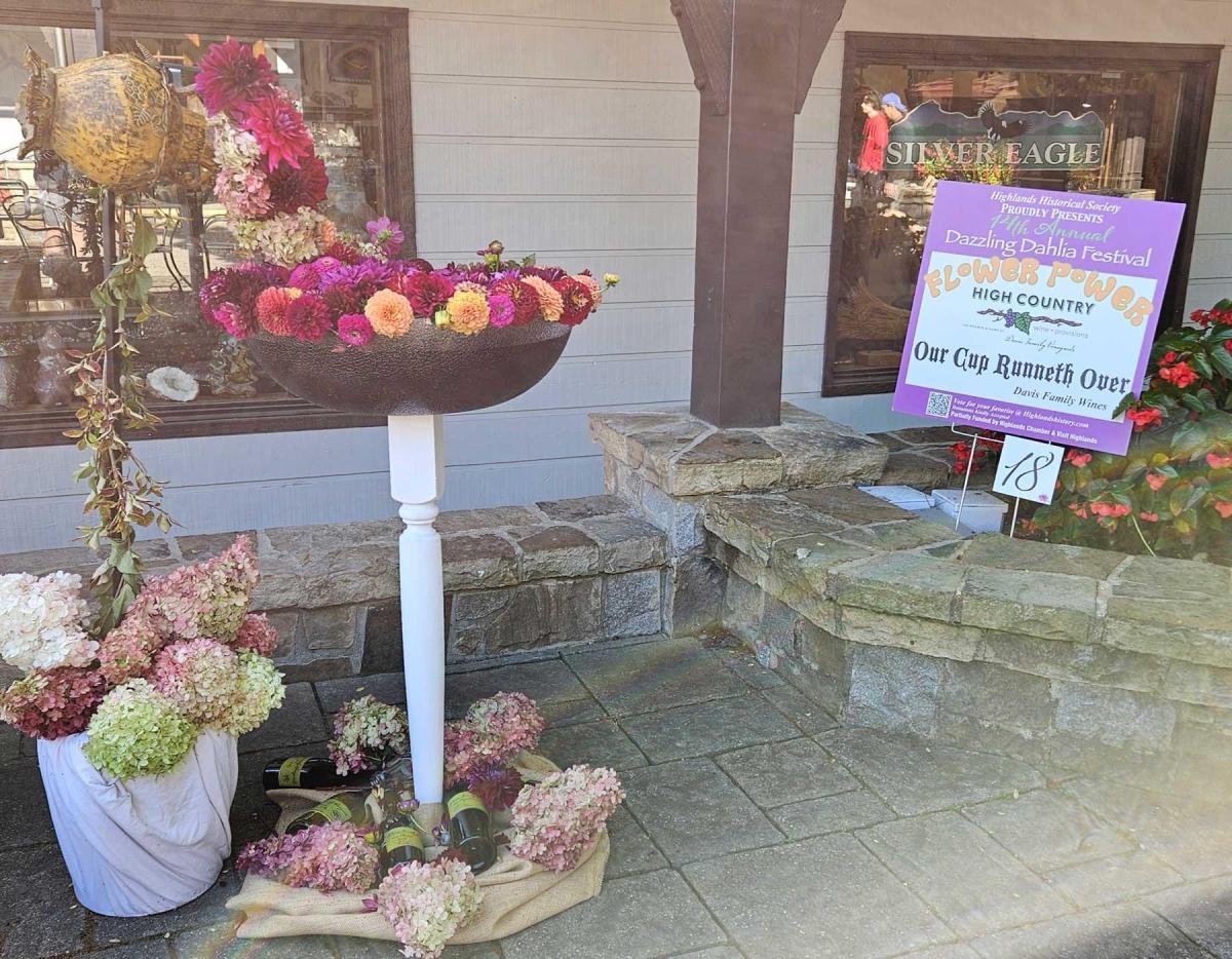 Dahlia Festival 2024