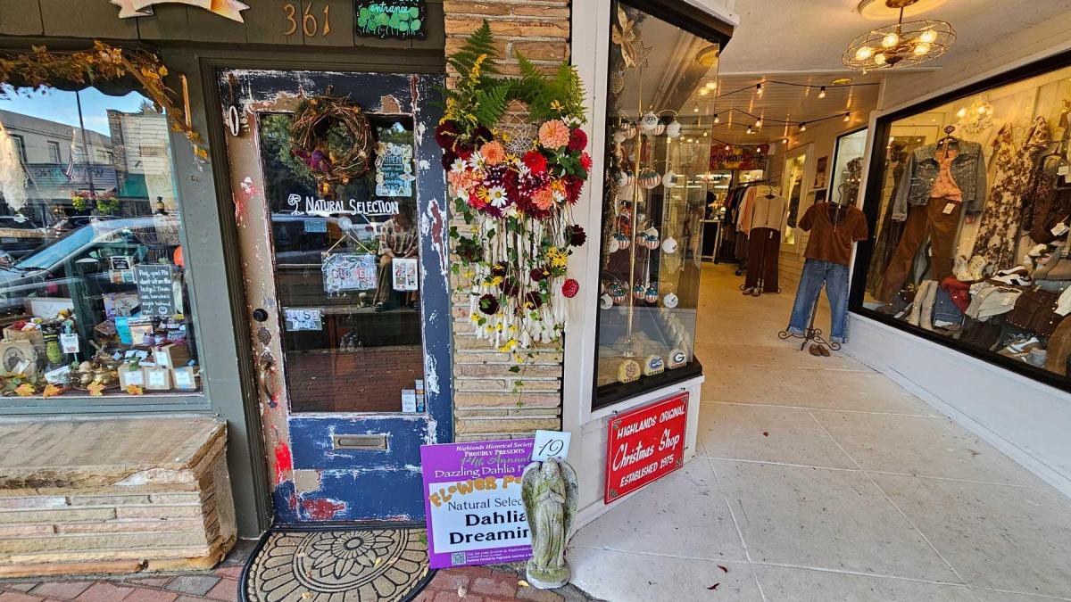 Dahlia Festival 2024