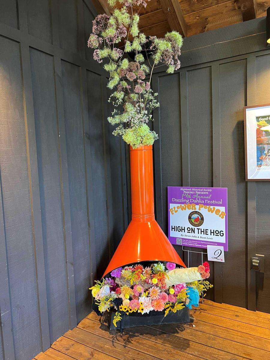 Dahlia Festival 2024