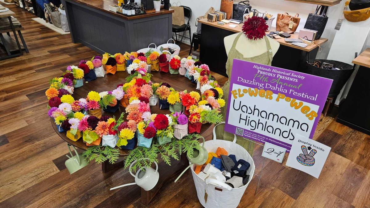 Dahlia Festival 2024