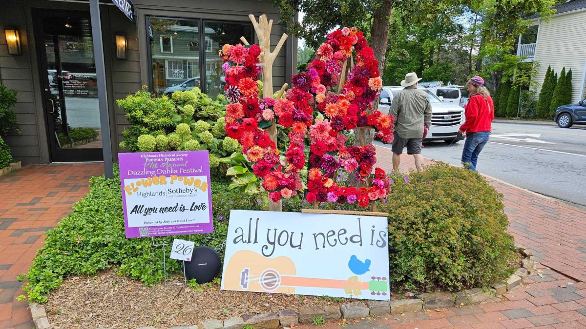 Dahlia Festival 2024