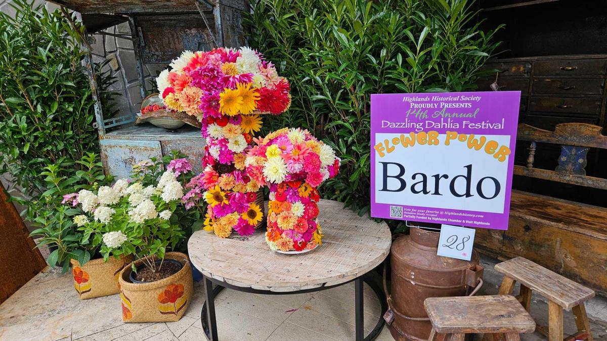 Dahlia Festival 2024