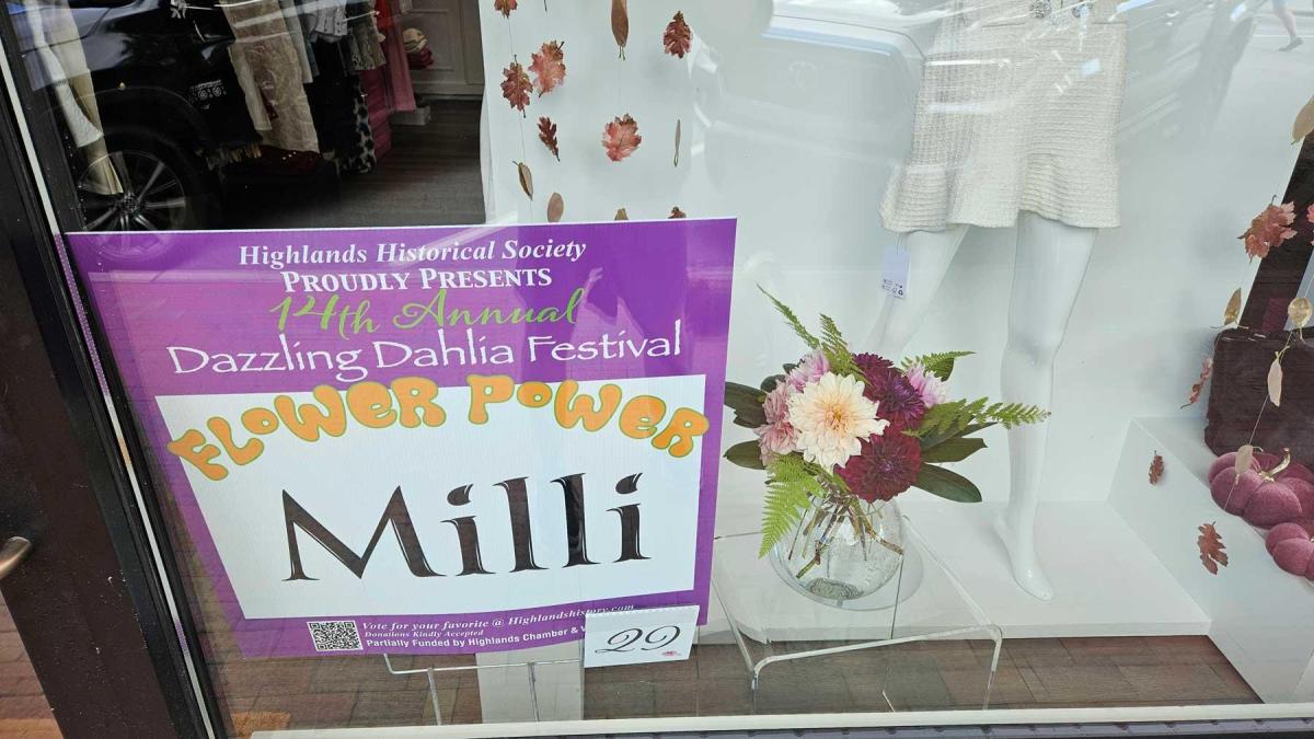 Dahlia Festival 2024