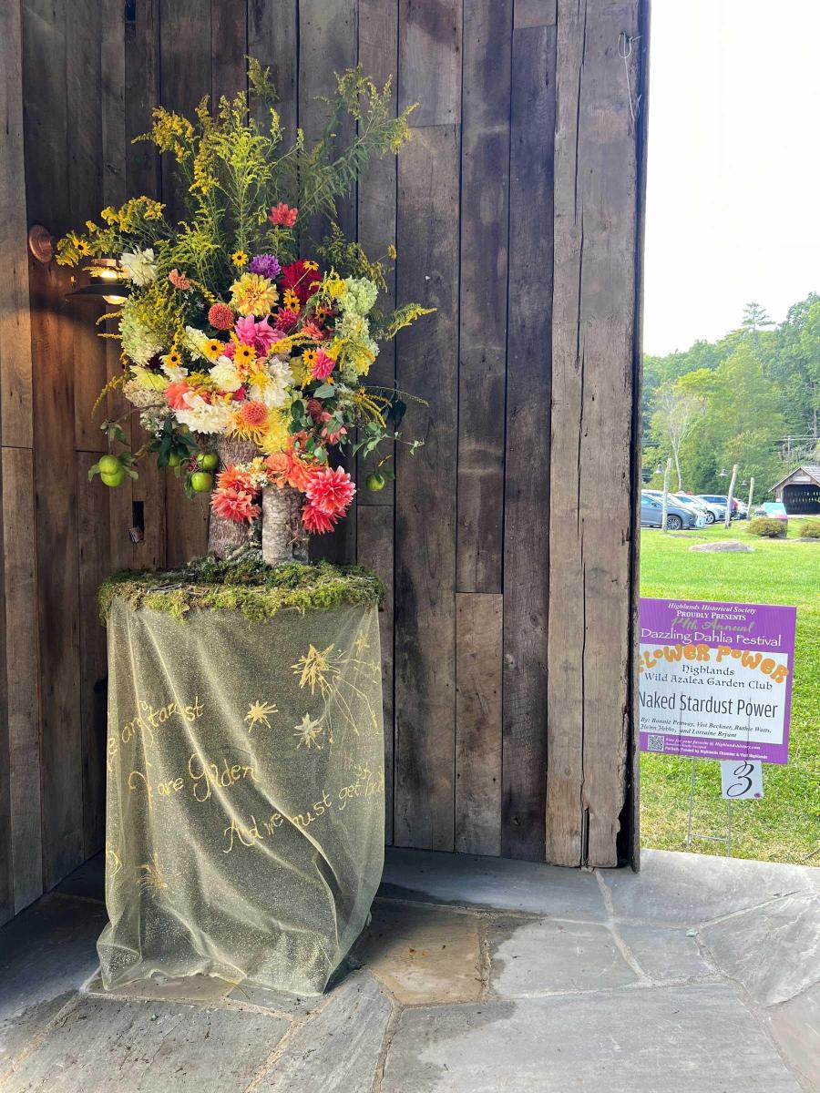 Dahlia Festival 2024