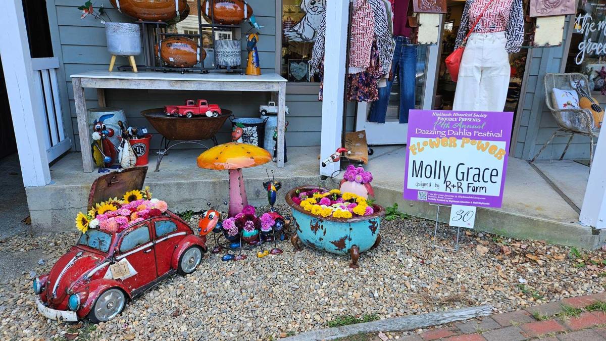 Dahlia Festival 2024