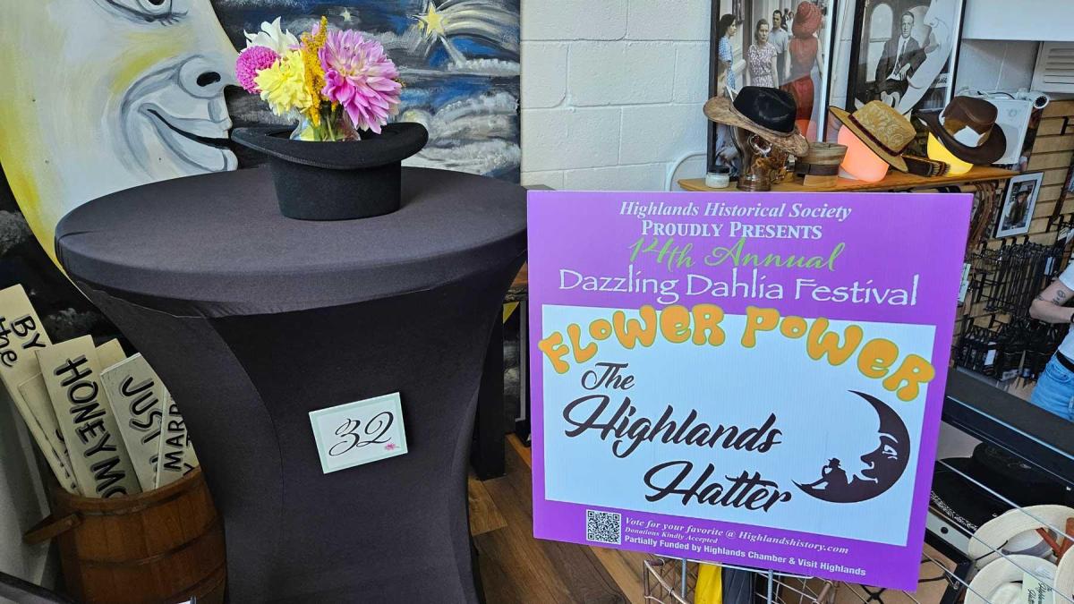 Dahlia Festival 2024