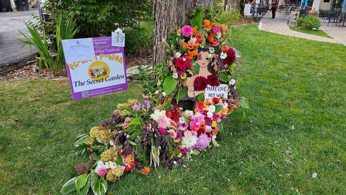 Dahlia Festival 2024