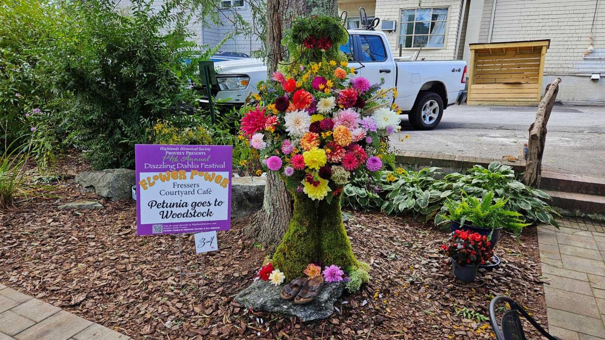 Dahlia Festival 2024