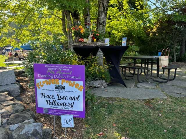 Dahlia Festival 2024