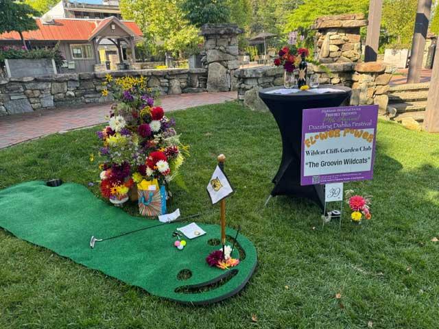 Dahlia Festival 2024