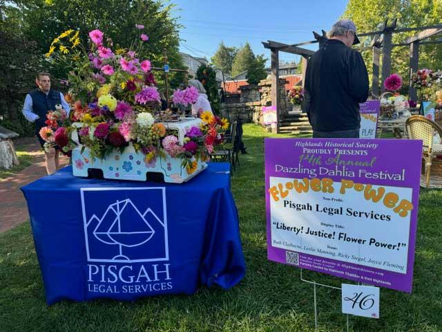 Dahlia Festival 2024