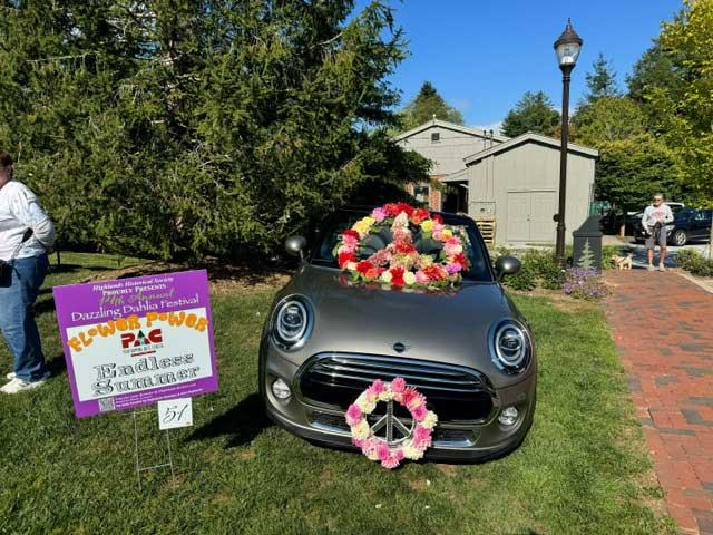 Dahlia Festival 2024