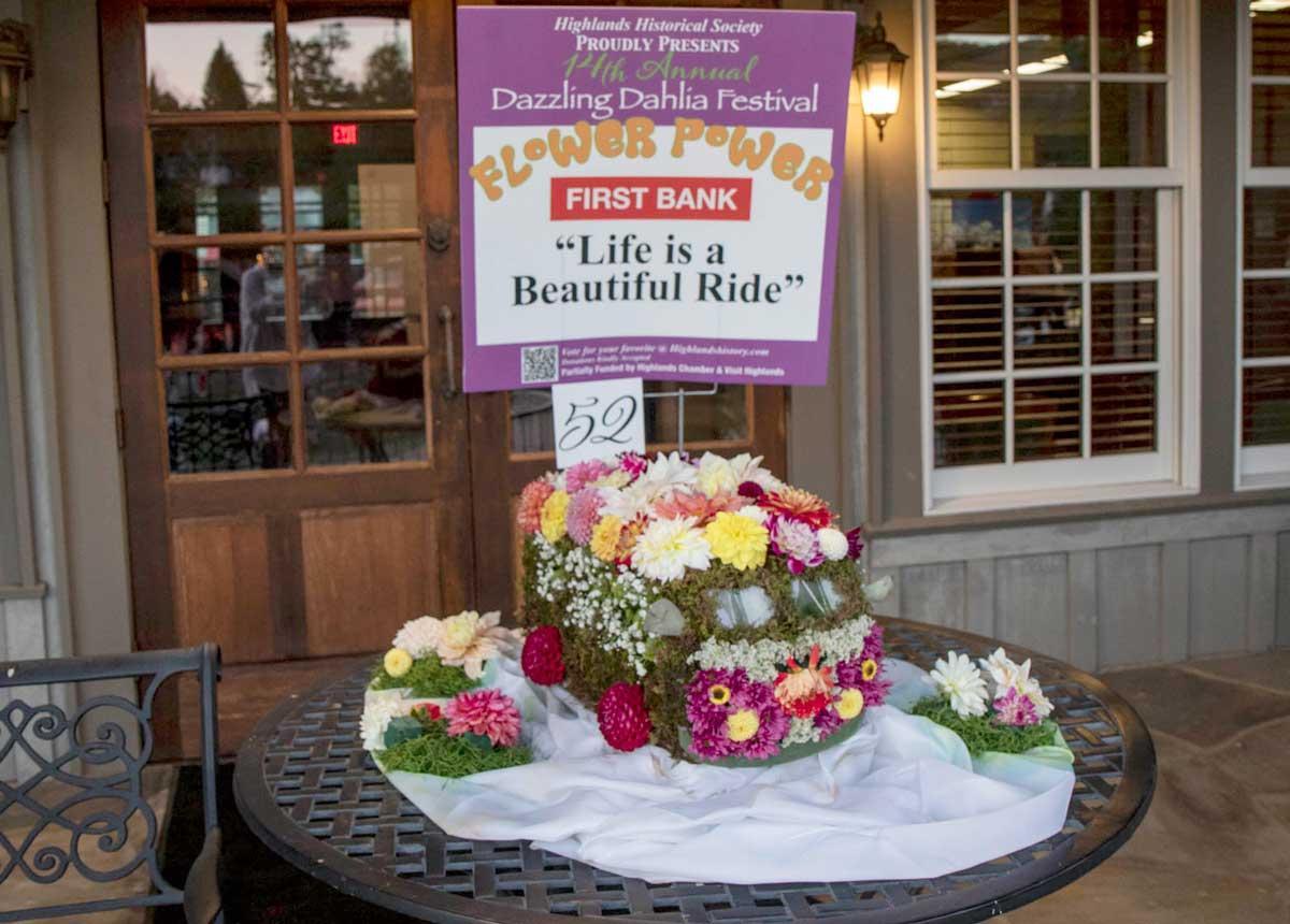 Dahlia Festival 2024