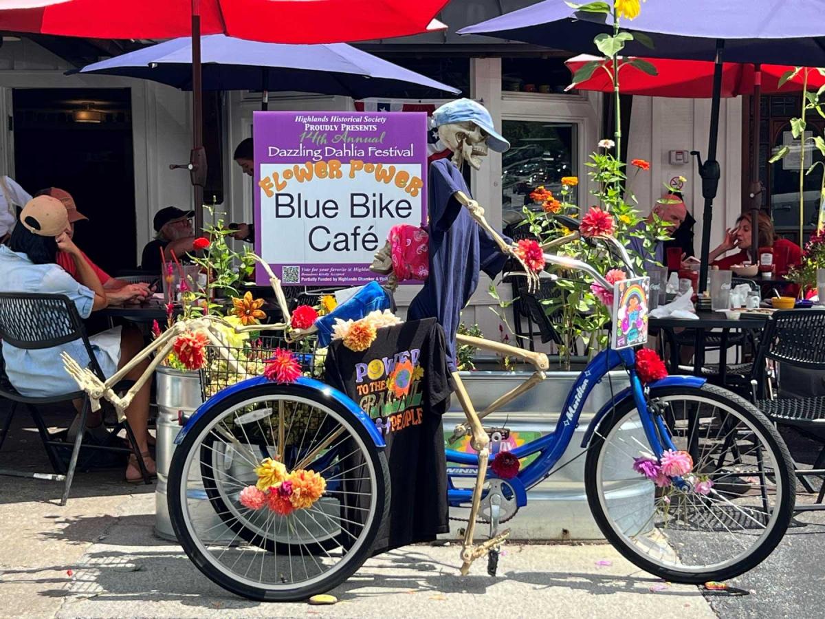 Dahlia Festival 2024