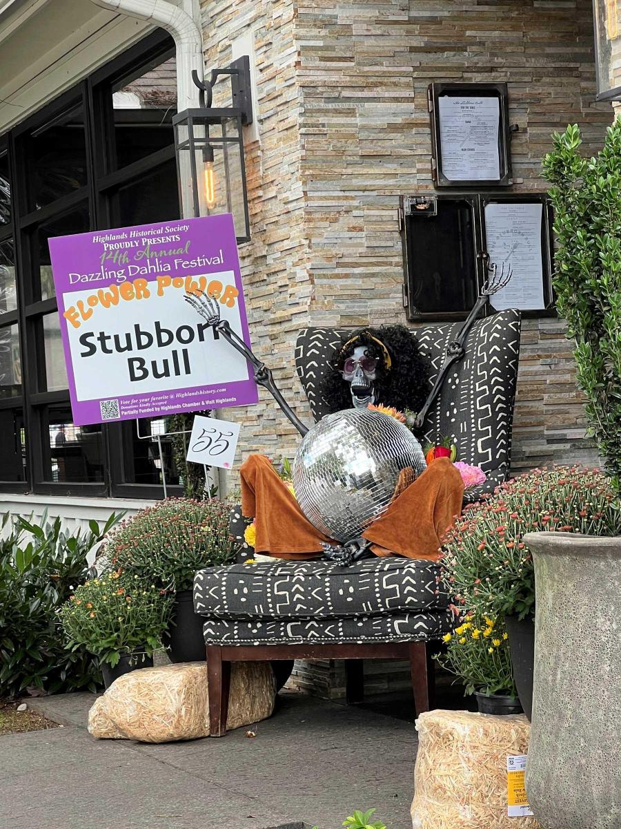 Dahlia Festival 2024