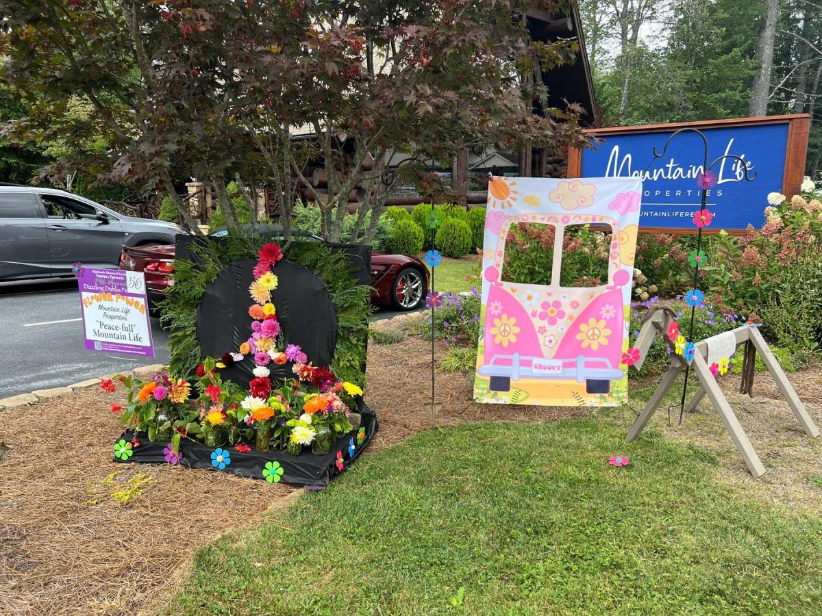 Dahlia Festival 2024