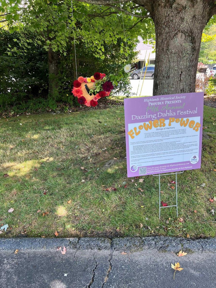 Dahlia Festival 2024