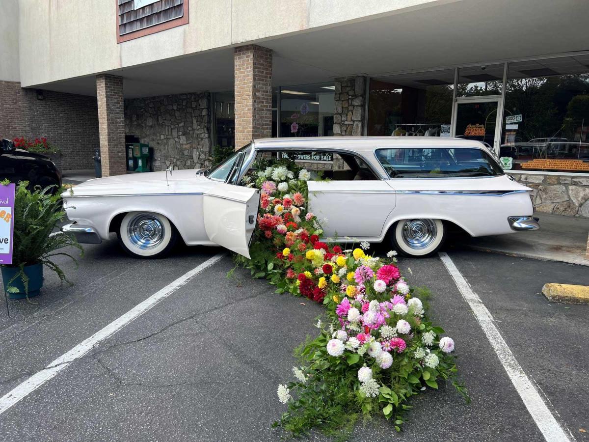 Dahlia Festival 2024