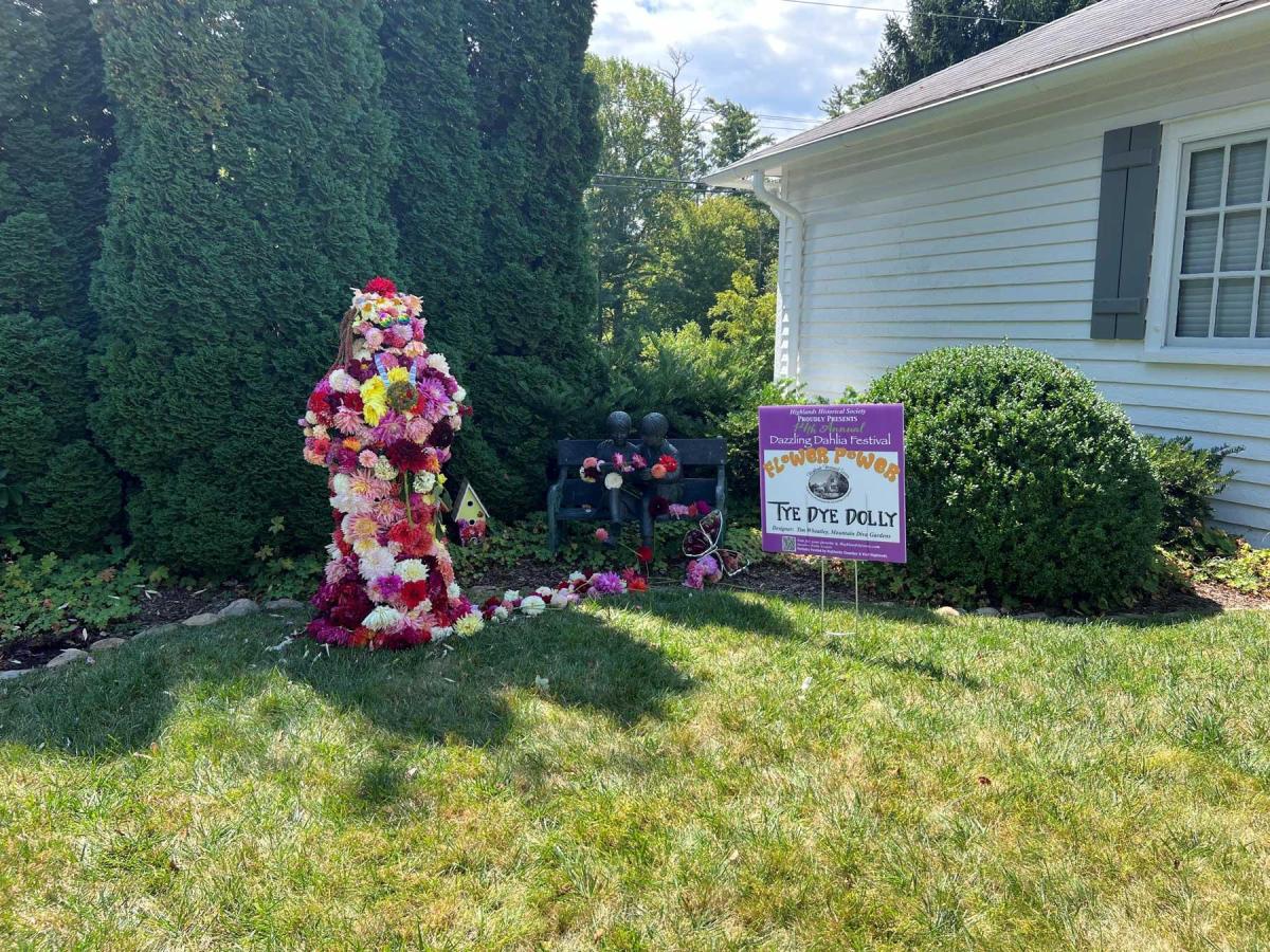 Dahlia Festival 2024