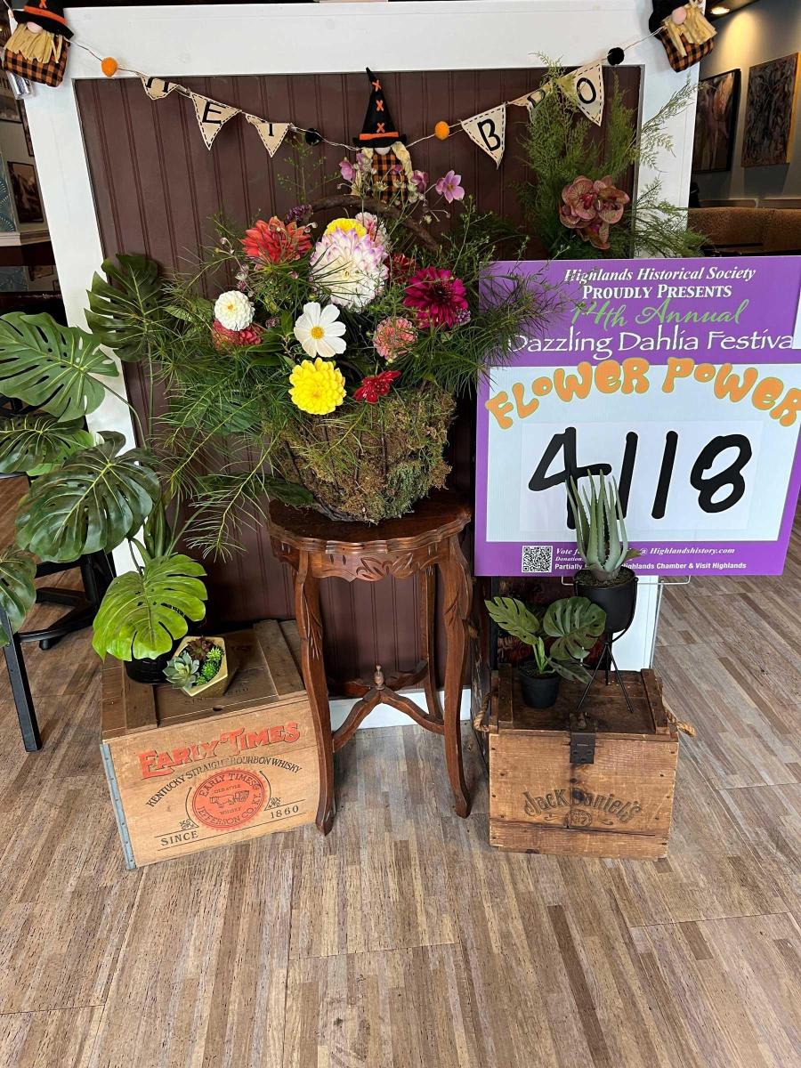 Dahlia Festival 2024