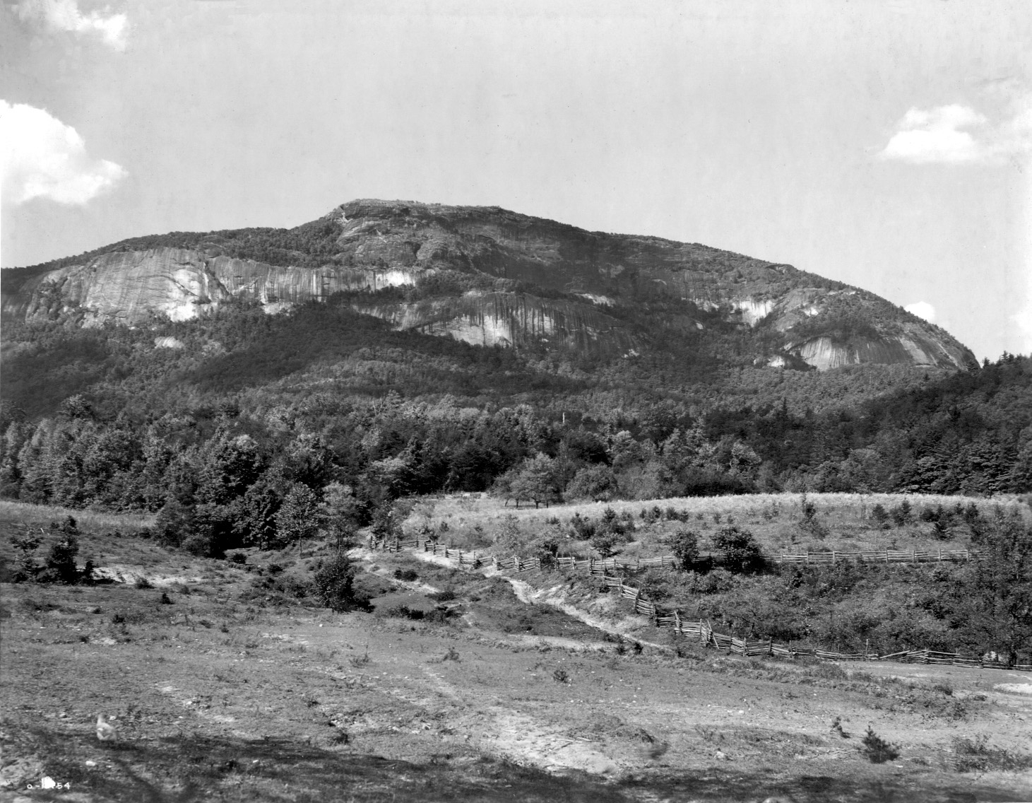 Whiteside Mountain from the Cove