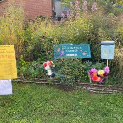 PEGGY_CROSBY_original